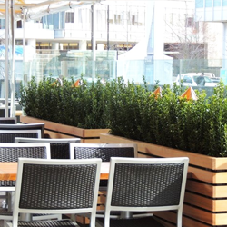 Alto Cafe Macross City